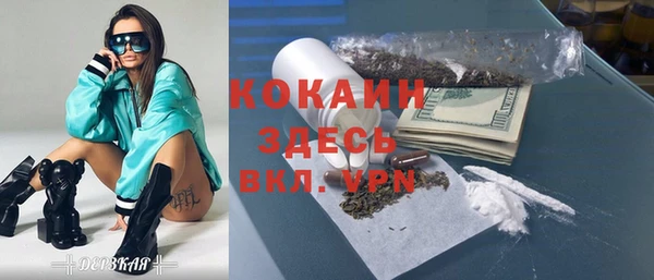 дмт Богданович