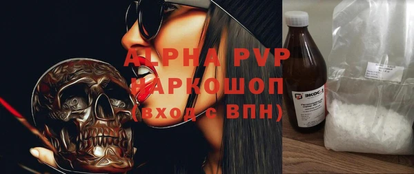 дмт Богданович