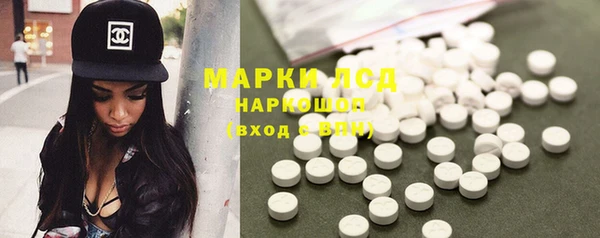 дмт Богданович
