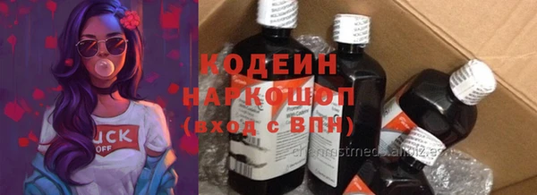 дмт Богданович