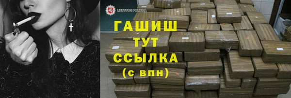 дмт Богданович