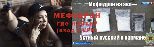 дмт Богданович