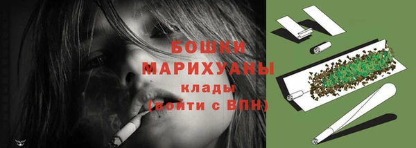 дмт Богданович