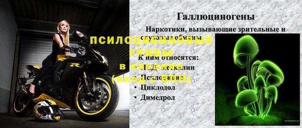 дмт Богданович