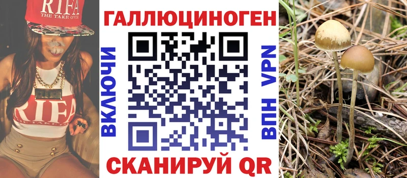 Псилоцибиновые грибы MAGIC MUSHROOMS  цена наркотик  Малая Вишера 